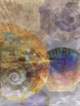 Shell Suite III by Robert Mertens