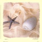 Shells I by Judy Mandolf