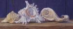 Shells I by Lucie Bilodeau