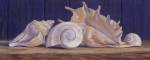 Shells II by Lucie Bilodeau