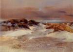 Shore Patterns by Fred MacNeill