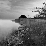 Shoreline Beauty by Harold Silverman