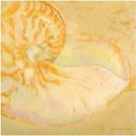 Shoreline Shells I by Lorraine Vail