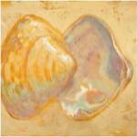 Shoreline Shells II by Lorraine Vail