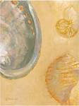 Shoreline Shells V by Lorraine Vail