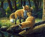 Sibling Rivalry by Crista Forest