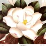 Signs of Spring I by Sarah Elizabeth Chilton