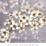 Silver Blossoms II by Elise Remender