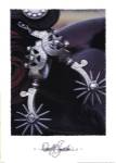 Silver Spurs by David R. Stoecklein