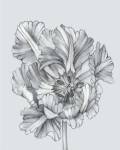 Silvery Blue Tulips I by Jennifer Goldberger