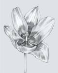 Silvery Blue Tulips II by Jennifer Goldberger