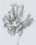 Silvery Blue Tulips III by Jennifer Goldberger