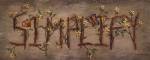 Simplify by Kim Lewis
