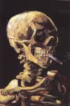 Skull by Steez