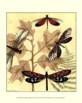 Sm. Graphic Dragonflies I (P) by Megan Meagher