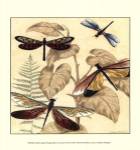 Sm. Graphic Dragonflies II (P) by Megan Meagher