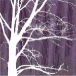 Small Aurora Silhouette IV (P) by Alicia Ludwig