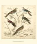 Small Avian Habitat I (P) by Malcolm Milne