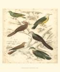 Small Avian Habitat II (P) by Malcolm Milne