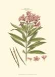 Small Blushing Pink Florals III (P) by John Miller