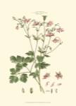 Small Blushing Pink Florals IX (P) by John Miller