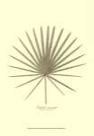 Small Dwarf Palmetto (P) by Becky Davis