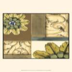 Small Marine Rosette Comp. I by Jennifer Goldberger