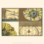 Small Marine Rosette Comp. III by Jennifer Goldberger