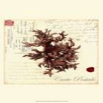 Small Romance du Mer III by Vision Studios