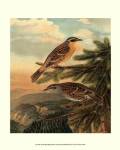 Small Woodland Birds I by Vision Studios