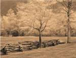 Smokies Fence by Wendy Caro