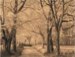 Smokies Road by Wendy Caro