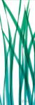 Snow Drop Flowing Blue Green by Albert Koetsier