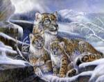 Snow Leopards by Ruane Manning