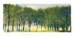 Soft Green Grove by Elliot