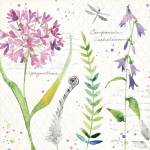 Soft Nature III by Anne Tavoletti