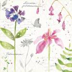 Soft Nature IV by Anne Tavoletti