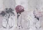 Soft Still Life by Lucy Meadows