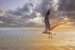 Soft Sunrise on the Beach 5 by Carlos Casamayor