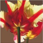 Soire II by S.G. Rose