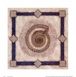 Solarium Shell by Jane A. Matthews