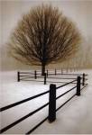 Solitude by David Lorenz Winston