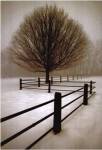 Solitude by David Lorenz Winston