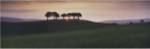 Somerset Sunrise by David Noton