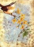 Songbird Sketchbook I by Jane Maday