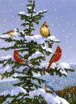 Songbirds On A Limb by William Vanderdasson
