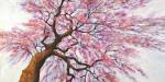 Sotto l'albero in Fiore by Silvia Mei
