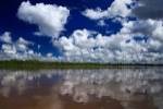 South America, Peru, Amazon Cloud reflections on Amazon river by Kymri Wilt / Danita Delimont