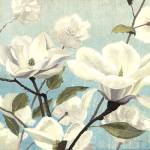 Southern Blossoms II Square by James Wiens
