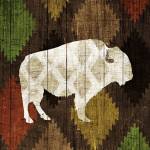 Southwest Lodge - Buffalo by Michael Mullan